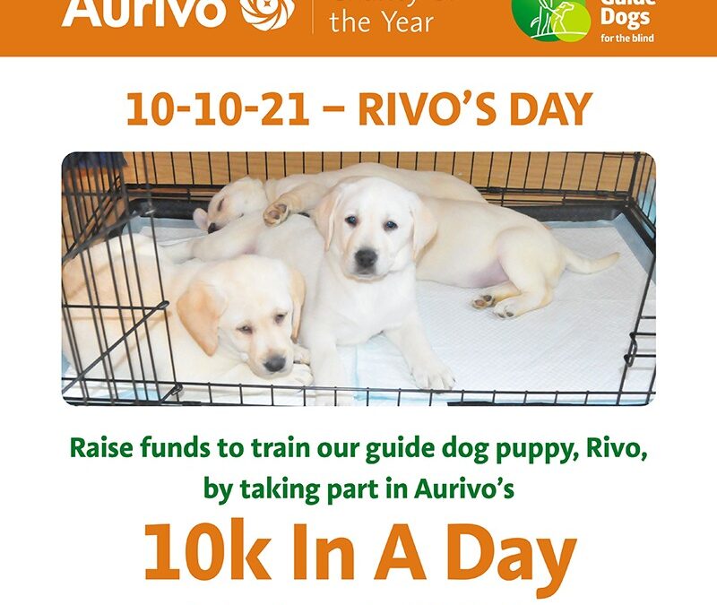 Aurivo 10k In A Day for Irish Guide Dogs for the Blind